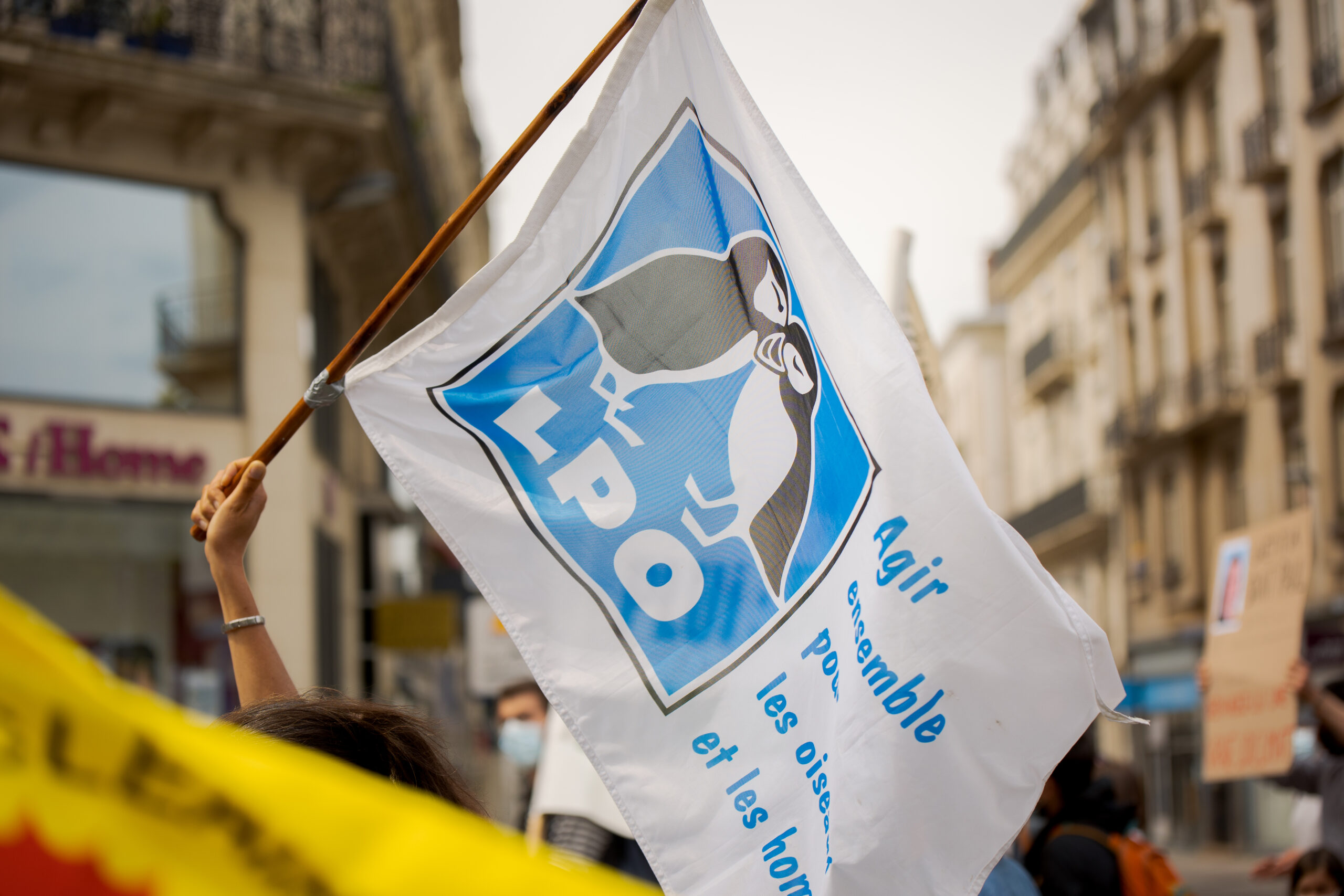 Photographies – Manifestation Mai 2020 Loi Climat